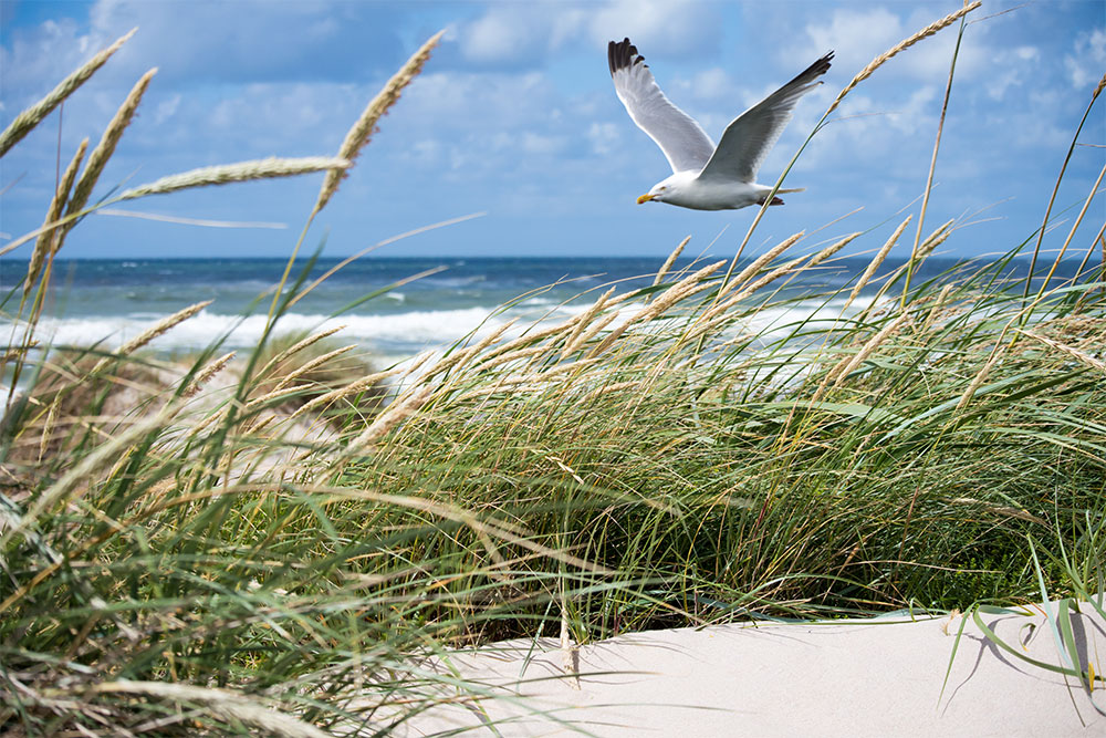 Strand St. Peter-Ording
